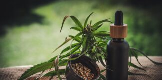 CBD olie en de werking: een introductie