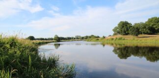 Ontdek de Mooiste Plekjes tijdens je Vakantie in Drenthe en Overijssel