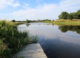 Ontdek de Mooiste Plekjes tijdens je Vakantie in Drenthe en Overijssel