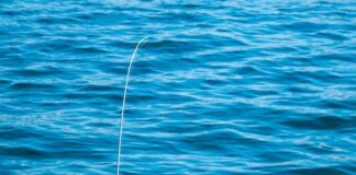 De ultieme uitrusting voor wedstrijdvissen: van fishfinders tot reel hengels