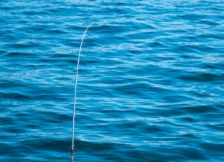 De ultieme uitrusting voor wedstrijdvissen: van fishfinders tot reel hengels