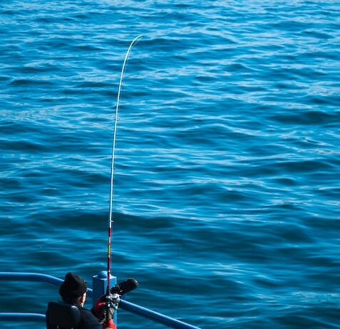 De ultieme uitrusting voor wedstrijdvissen: van fishfinders tot reel hengels